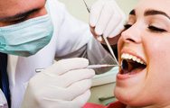 Variety of Dentist